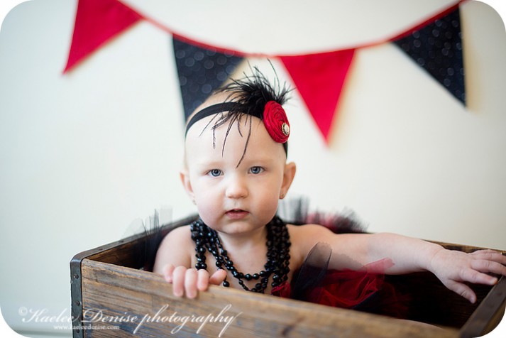 brevard photographer