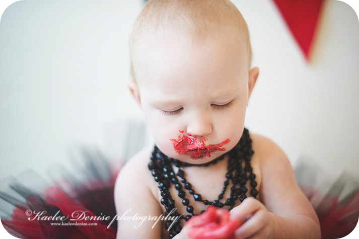 brevard photographer