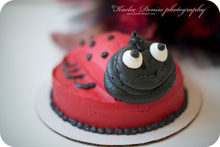 brevard photographer