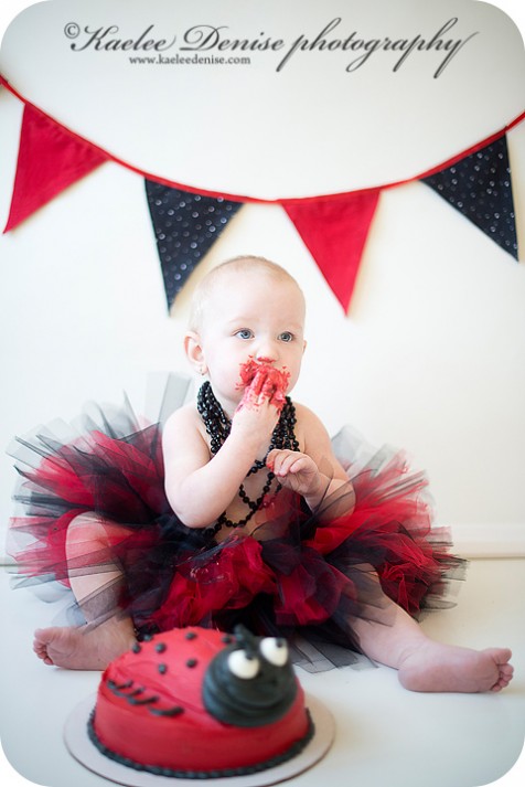 brevard photographer