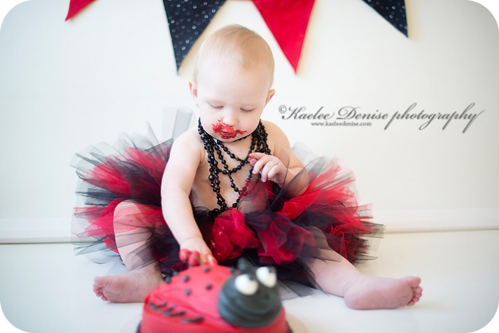 brevard photographer