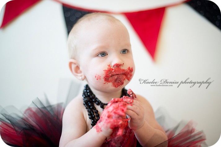 brevard photographer