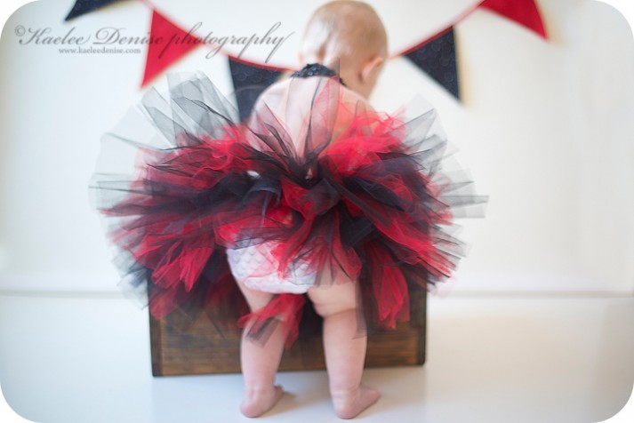 brevard photographer