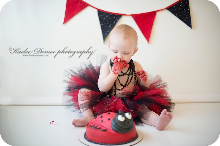 brevard photographer