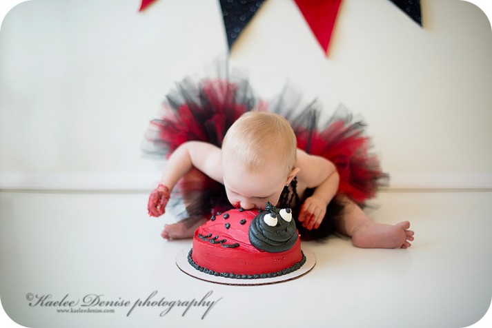 brevard photographer