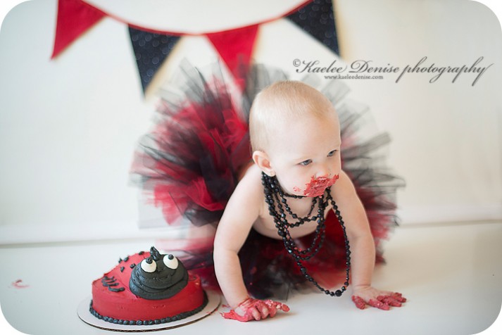 brevard photographer