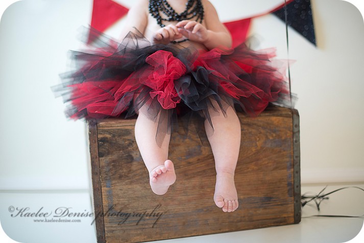 brevard photographer