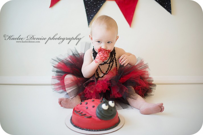 brevard photographer