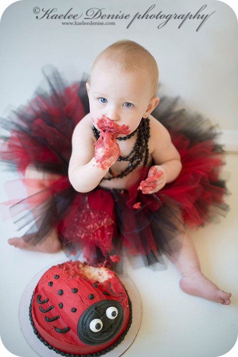 brevard photographer