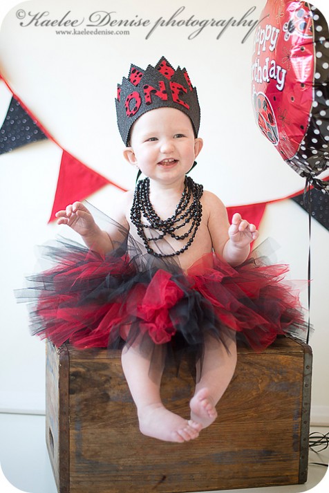 brevard photographer