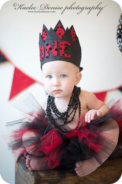 brevard photographer