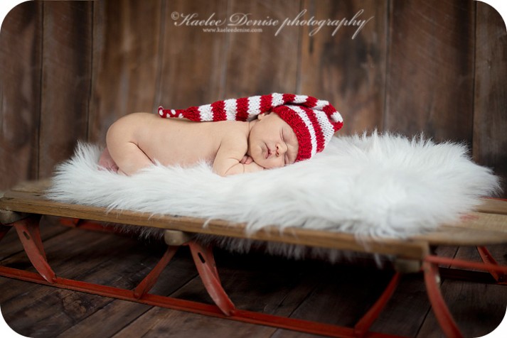 Brevard Newborn Portrait Photographer