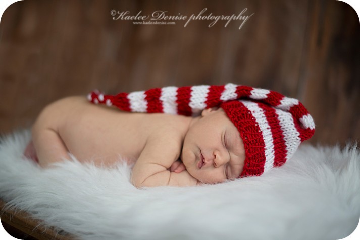 Brevard Newborn Portrait Photographer