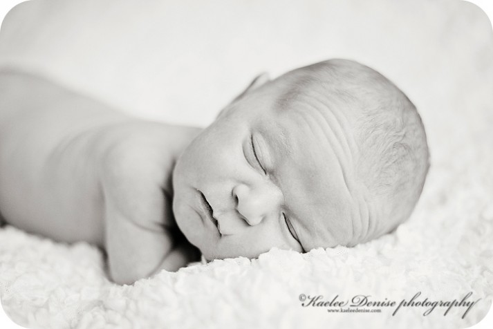 Brevard Newborn Portrait Photographer