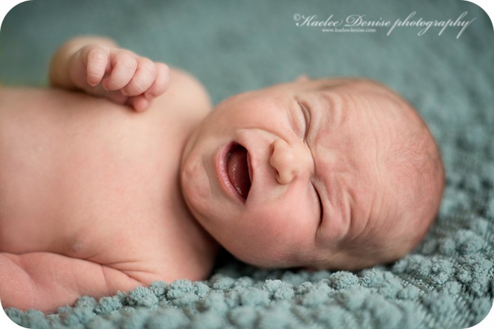 Brevard Newborn Portrait Photographer