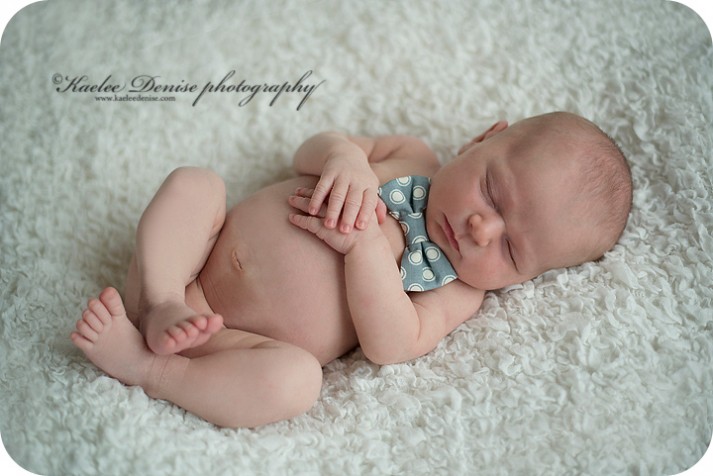 Brevard Newborn Portrait Photographer