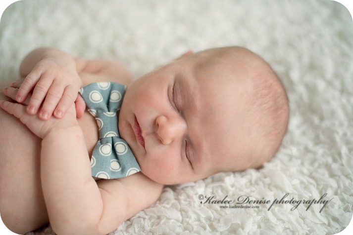 Brevard Newborn Portrait Photographer