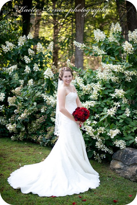 Asheville Wedding Photographer