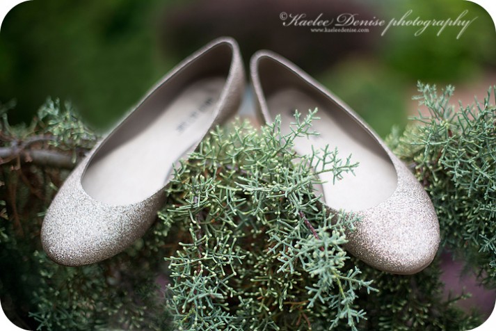 Brevard Bridal Portrait Photographer