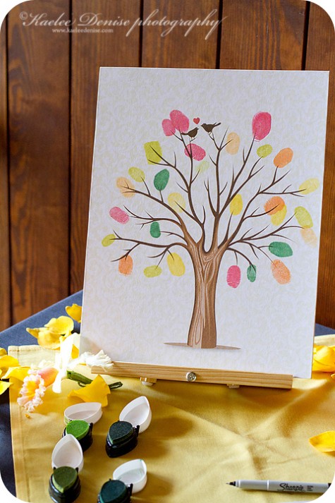 Asheville Wedding Photographer