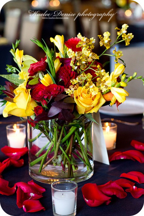 Asheville Wedding Photographer