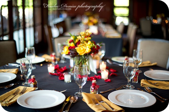 Asheville Wedding Photographer