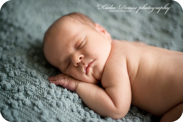 Brevard Newborn Portrait Photographer