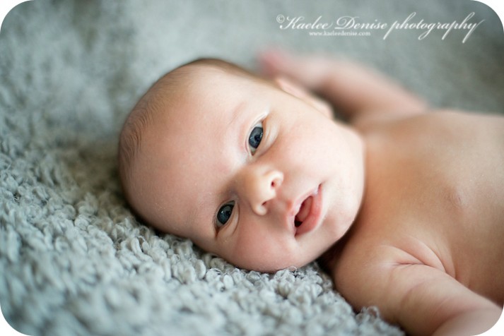 Brevard Newborn Portrait Photographer