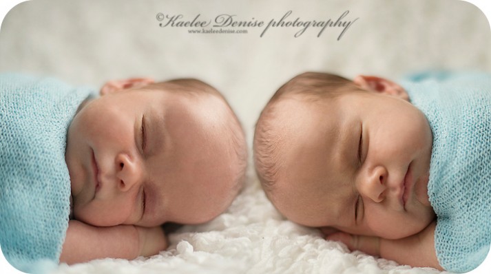 Brevard Newborn Portrait Photographer