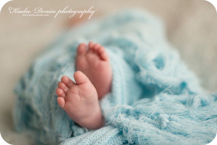 Brevard Newborn Portrait Photographer