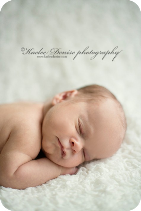 Brevard Newborn Portrait Photographer