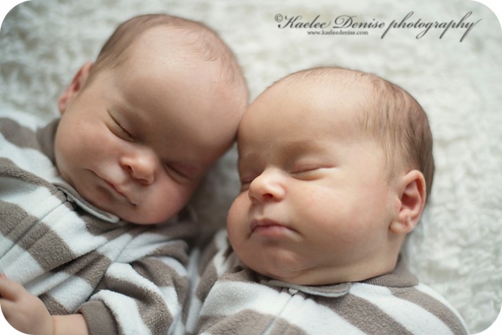 Brevard Newborn Portrait Photographer