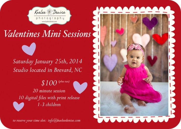 brevard portrait photographer