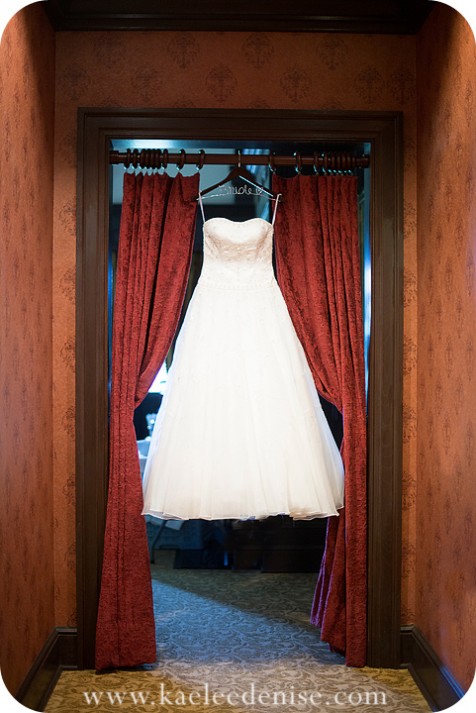 Asheville wedding photographer