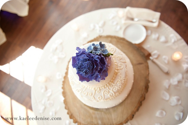 Asheville Wedding Photographer