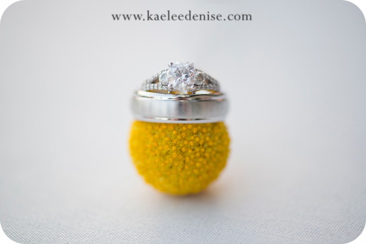 Asheville wedding photographer