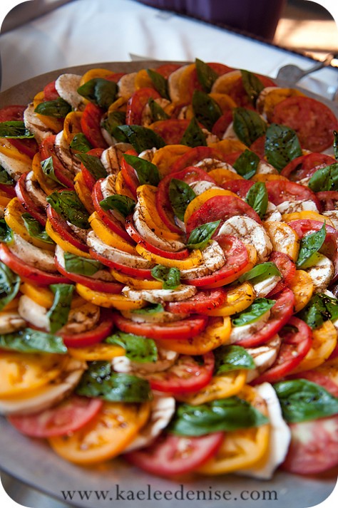 Asheville Wedding Photographer