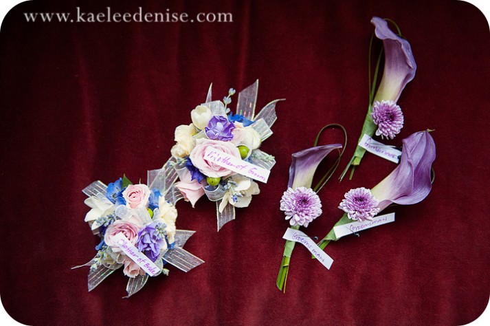 Asheville wedding photographer