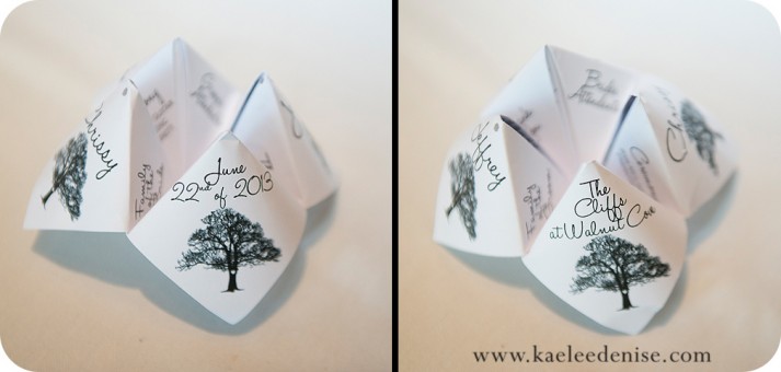 Asheville Wedding Photographer