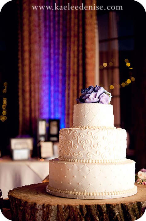 Asheville Wedding Photographer