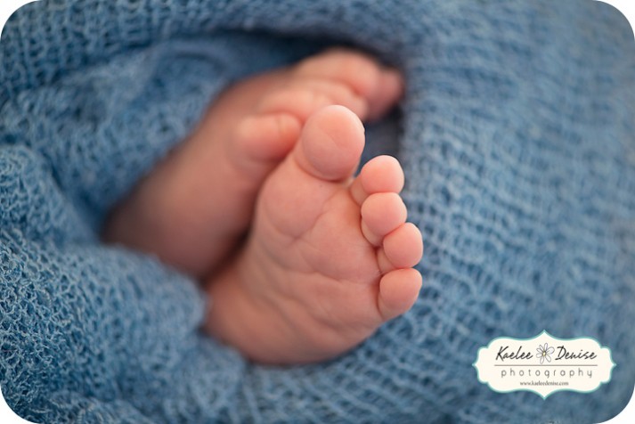 Brevard Newborn Portrait Photographer