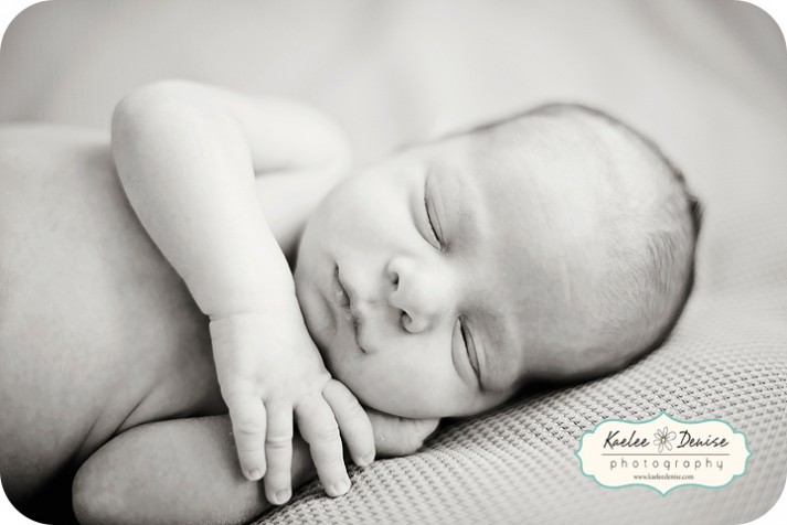Brevard Newborn Portrait Photographer