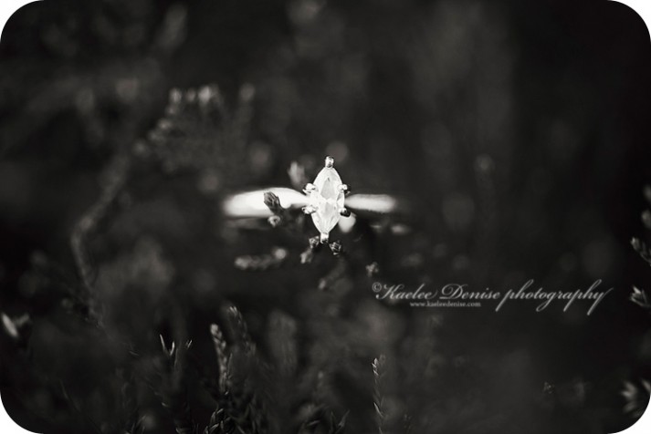 Asheville engagement photographer