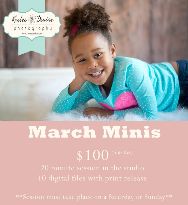 brevard photographer