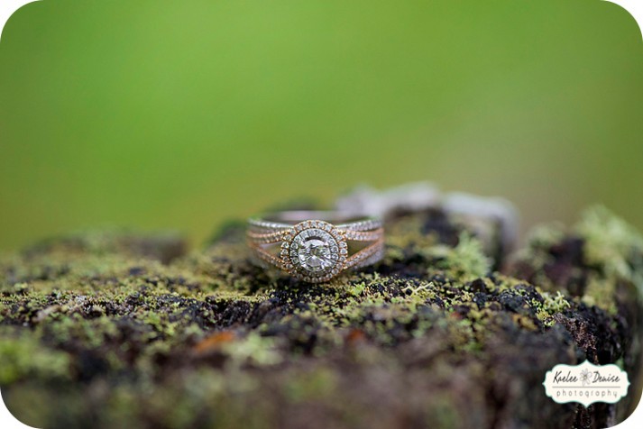 Asheville engagement photographer