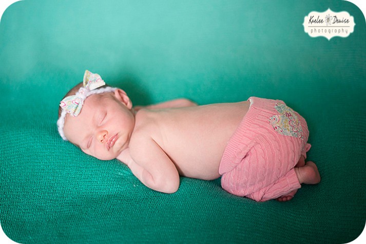 Brevard Newborn Portrait Photographer