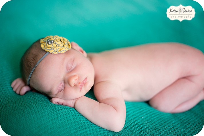 Brevard Newborn Portrait Photographer