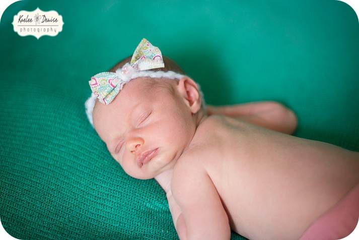 Brevard Newborn Portrait Photographer