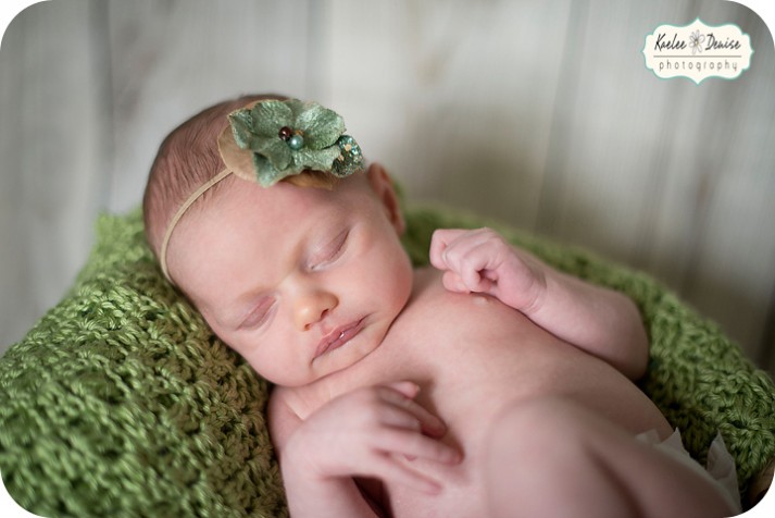 Brevard Newborn Portrait Photographer