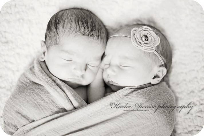 brevard photographer